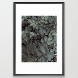 Flora // Focus Framed Art Print