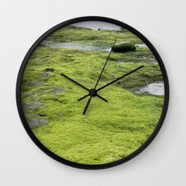 Tangled Kelp Wall Clock