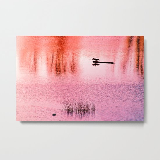 Ripples, reed, reflections,red Metal Print