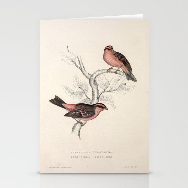 Pink-browed rosefinch and spot-winged rosefinch by Elizabeth Gould, 1831 Stationery Cards