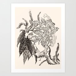 Birds and Plants Drawing Art Print