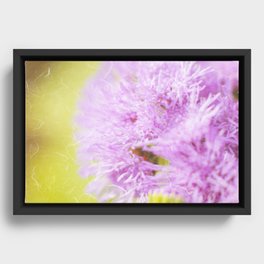 Lavender flower macro Framed Canvas