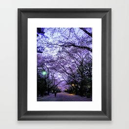 Sakura Walk Framed Art Print