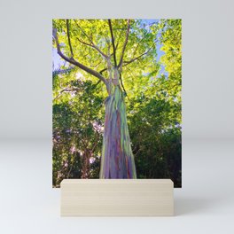Rainbow Eucalyptus Trees Mini Art Print