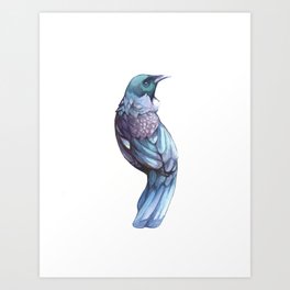 Tui Bird Art Print
