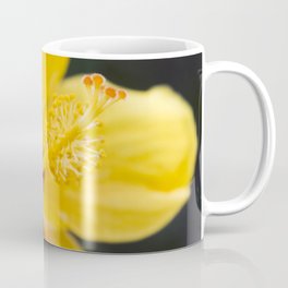 Boreas Tropical Hibiscus Lemon Drop Coffee Mug