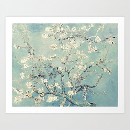 Van Gogh Almond Blossoms Muted Teal Cream Art Print