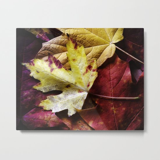 color Metal Print