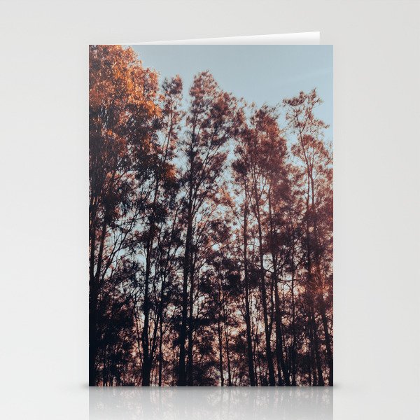 Fall Trees under the Sunlight Stationery Cards