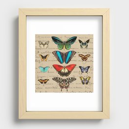 Butterfly Botanical Journal Recessed Framed Print
