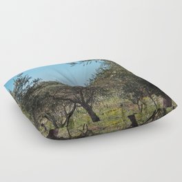 Olive trees in the Apulian landscape in autumn.  Floor Pillow