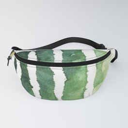 Green Stripes Fanny Pack