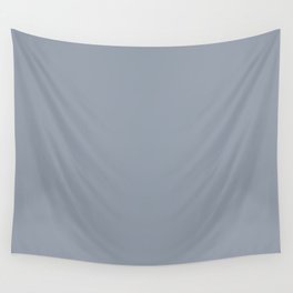 Medium Twilight Blue Gray Grey Single Solid Color Coordinates with PPG Coast Of Maine PPG10-20 Wall Tapestry