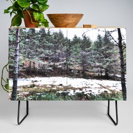 Scottish Highlands Pine Forest Winters View in I Art  Credenza