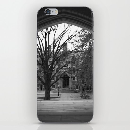 Princeton iPhone & iPod Skin