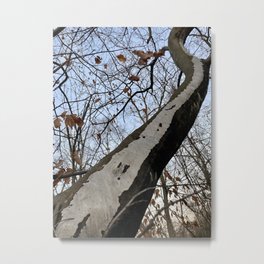 Follow the Path Up Metal Print