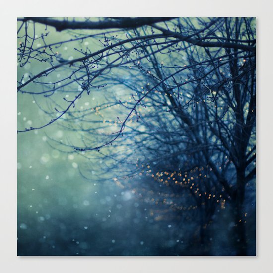 Silent Night Canvas Print