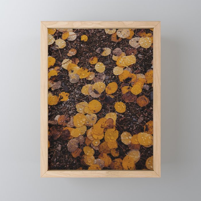 Framed Mini Art Print