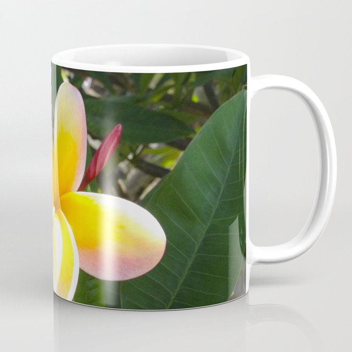 Flower in North Shore, Hawaii Coffee Mug
