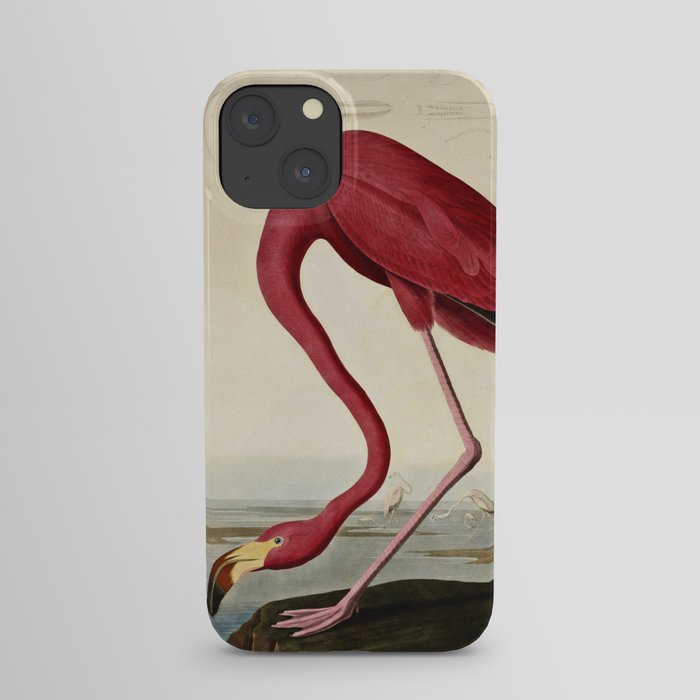 John James Audubon - American flamingo iPhone Case