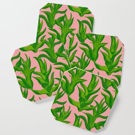 Aloe Vera - green and pink Coaster