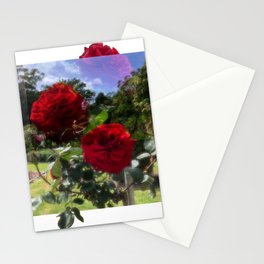 Red Rose Stationery Cards