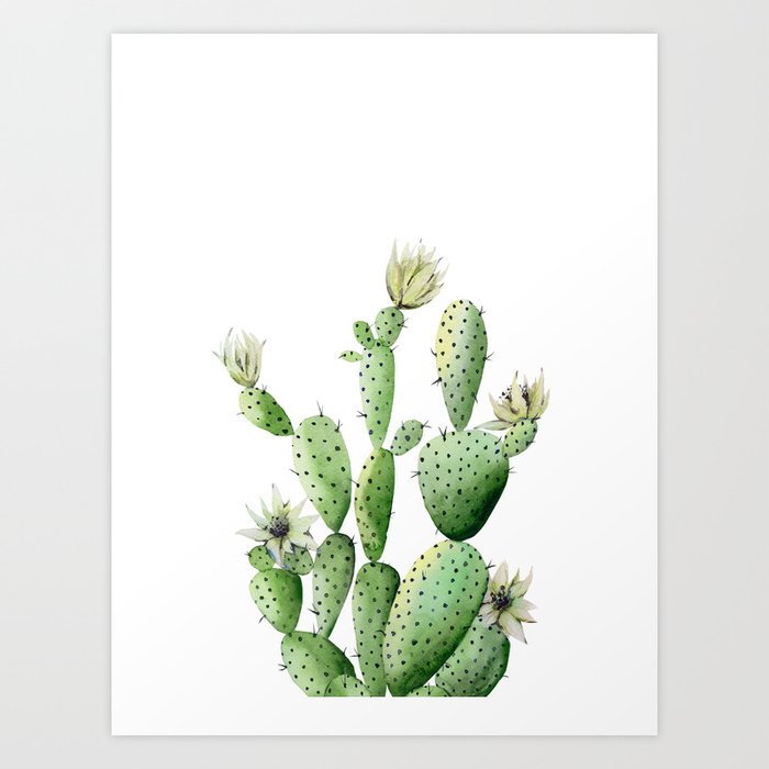 Discover the motif CACTUS WITH WHITE FLOWERS by Art by ASolo as a print at TOPPOSTER