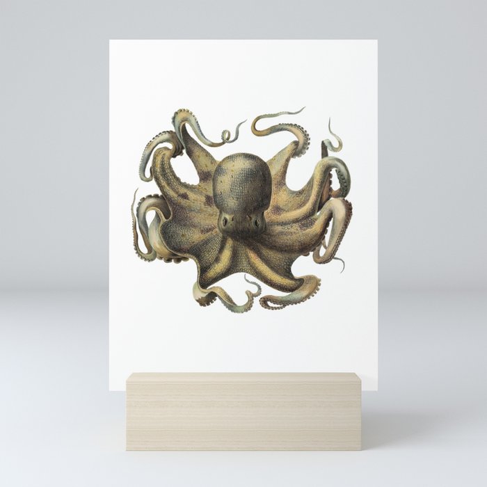  Vintage octopus Mini Art Print