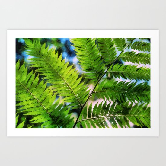 Fern Art Print