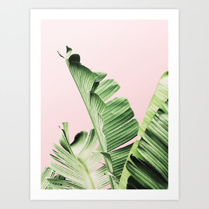 Banana Leaf on pink Art Print