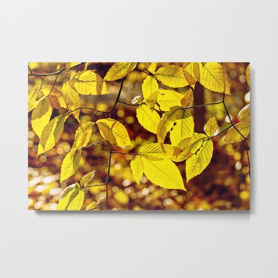 yellow Metal Print