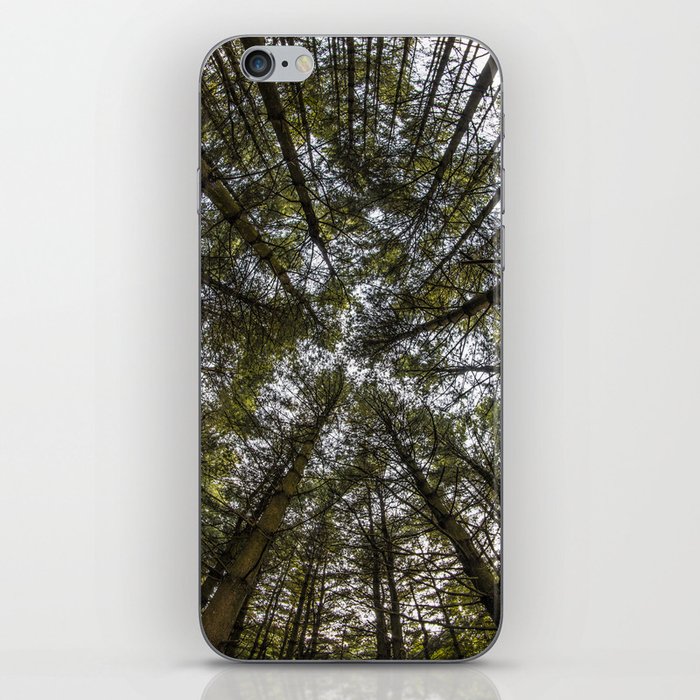Tree tops iPhone Skin
