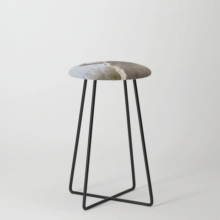 Bloom. Counter Stool