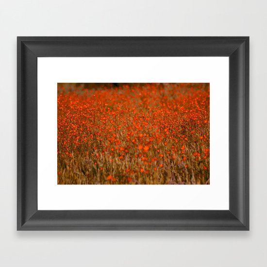 Poppy Field Framed Art Print