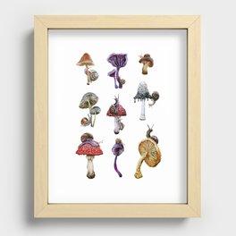 Mushrooms n Snails Recessed Framed Print