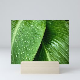 Green Tropical Leaves With Raindrops  Mini Art Print