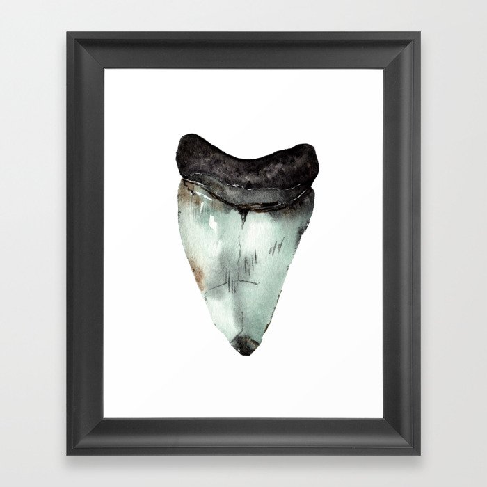Watercolor Fossil Megalodon Shark Tooth Framed Art Print
