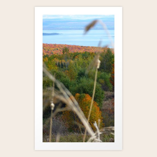 Fall in colors Art Print