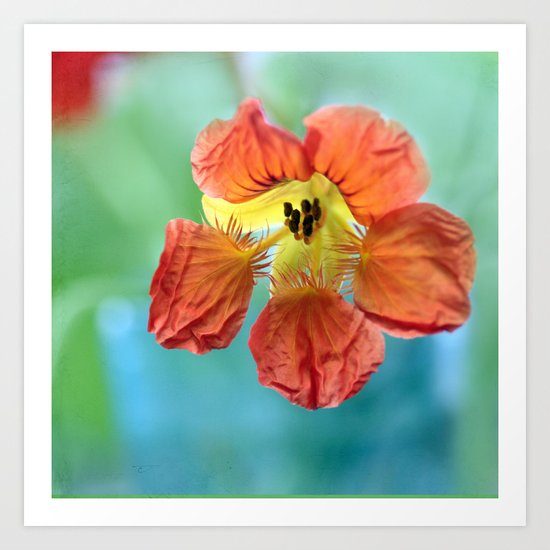 ORANGE Art Print