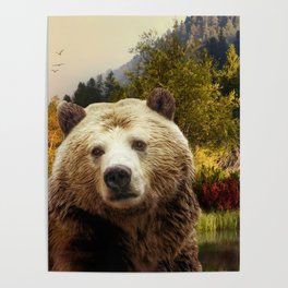 Brown Bear and Forest Poster