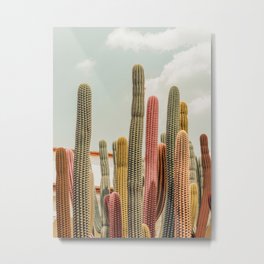 Desert tones Metal Print