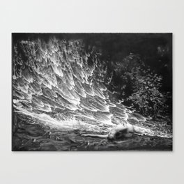 Emergence Canvas Print