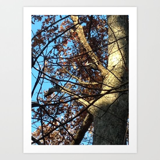 Pileated Woodpecker Amidst the Trees Art Print