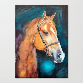 Olga- Horse Canvas Print
