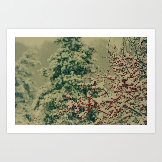 Winter Garden Art Print