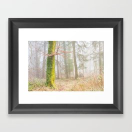 Enchanted Fairy Forest in Ireland Framed Art Print