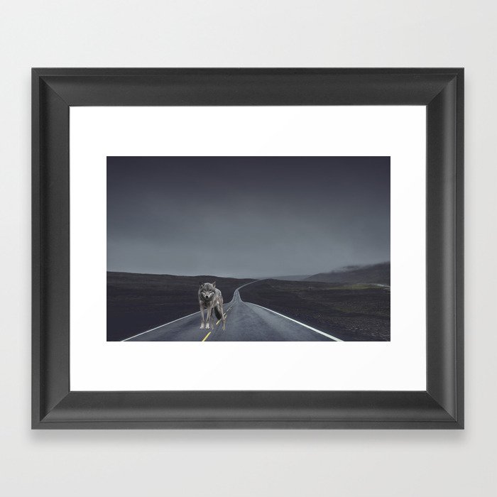 Road Wolf Framed Art Print