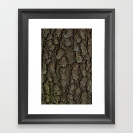 TreeBark Art Framed Art Print