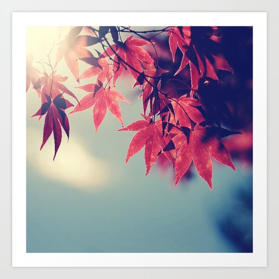 Maple Light Art Print