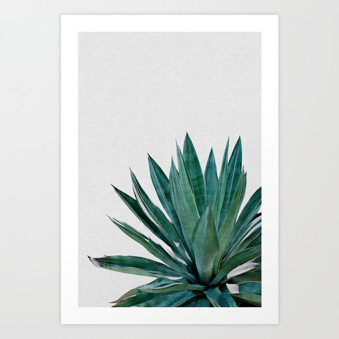 Agave Cactus Art Print